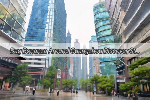 Bag Bonanza Around Guangzhou Discover Stylish and EcoFriendly Bags at Your Doorstep